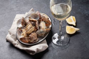 Holiday rental in Brittany - Taste shellfish with a glass of white wine